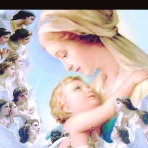 Meet your Posher, Reina